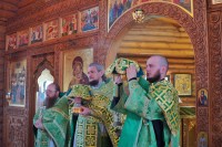 День Святой Троицы. Литургия. Видео.