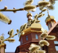Литургия Преждеосвященных Даров среды 6-й седмицы. Сщмч. Антипы, еп. Пергама Асийского..