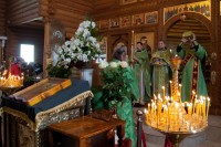 ТОРЖЕСТВЕННЫЙ ВХОД ГОСПОДА В ИЕРУСАЛИМ