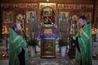 ВХОД ГОСПОДЕНЬ ВО ИЕРУСАЛИМ. 05.04.2026 г.