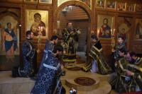 На пути правды &ndash; жизнь, и на стезе ее нет смерти