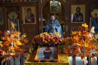 Покров Пресвятой Богородицы. 14.10.2025 г.