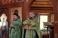 Литургия. Вход Господень в Иерусалим.