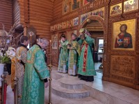 Вербное воскресенье. Вход Господень в Иерусалим.