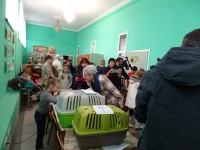 Детская выставка животных